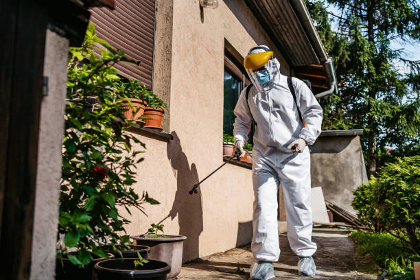 Best Mosquito Control Services  in Stepping Stone, CO
