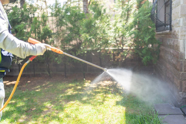 Best Best Pest Control Companies  in Stepping Stone, CO