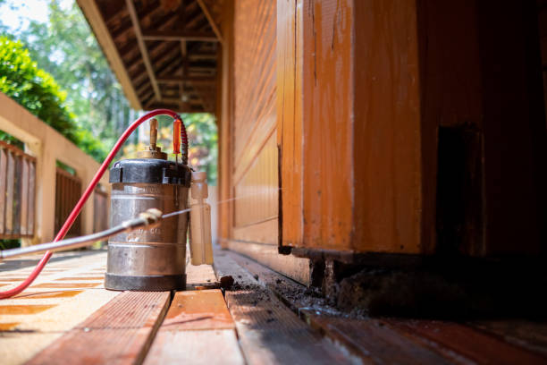 Best Pest Control Cost  in Stepping Stone, CO